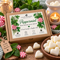 100g Soy Wax Melts Gift Box – Handmade Scented Mini Wax Melts – Vegan Home Fragrance Gift