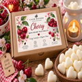 100g Soy Wax Melts Gift Box – Handmade Scented Mini Wax Melts – Vegan Home Fragrance Gift