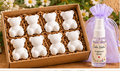 Teddy Aroma Stone Gift Set – Wholesale