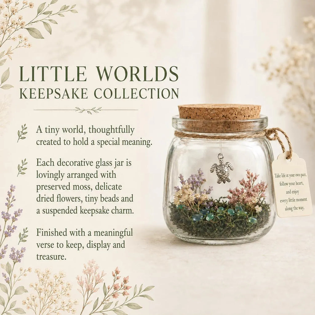 Aeroplane Keepsake Jar, Adventure Awaits Travel Gift, Little World With Dried Flowers, Leaving Gift for Traveller